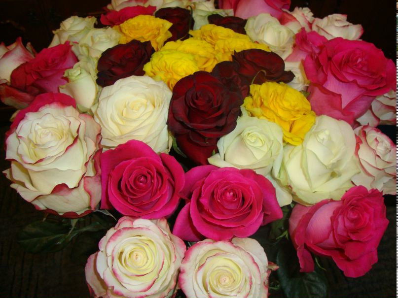 Анна Чухлиб | Киев