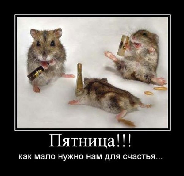 Руслан Луценко | Chicago