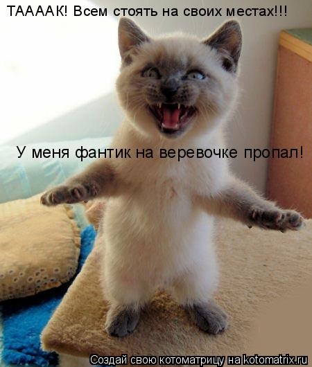 №3, Екатерина Павлова №3, Екатерина Павлова