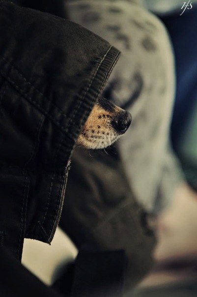 Александр Фенклер | Новосибирск