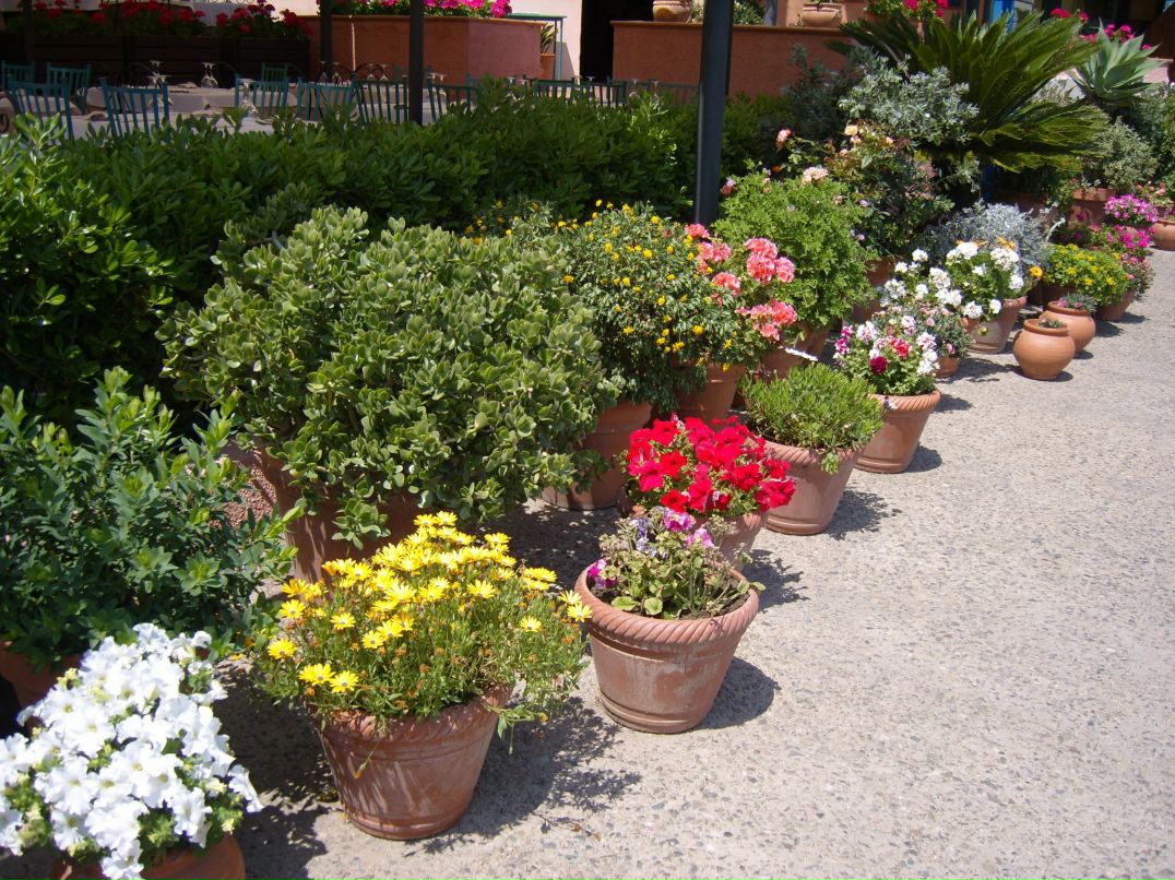 Вера Варзунова | Череповец