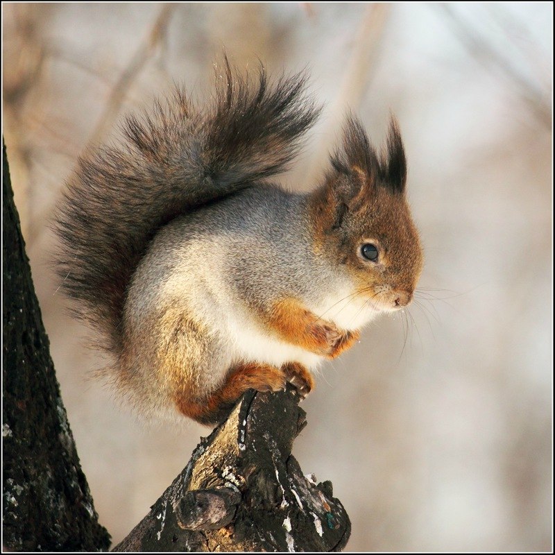 Танюшка Полякова | Санкт-Петербург