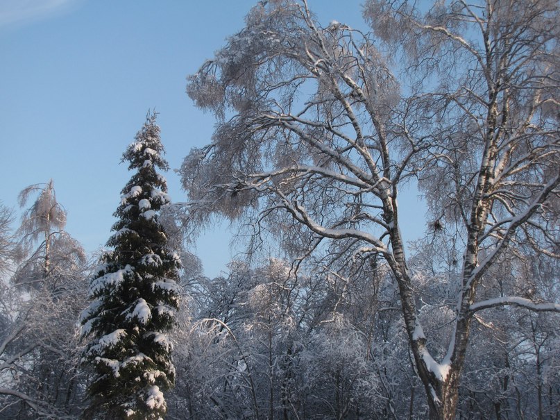 Ирина Смирнова | Москва