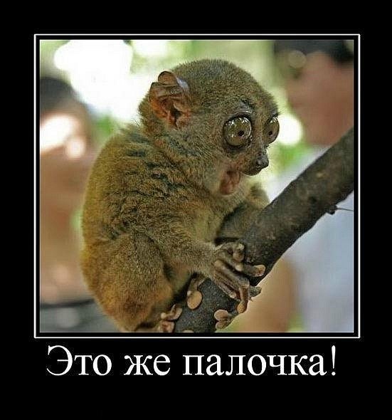 Александр Самохвалов САМОХА | Санкт-Петербург