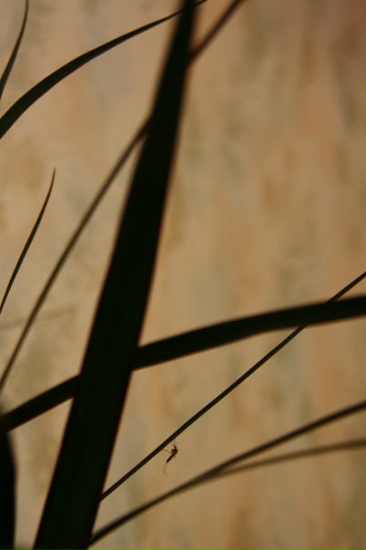 №118, Инна Левченко, Санкт-Петербург №118, Инна Левченко, Санкт-Петербург