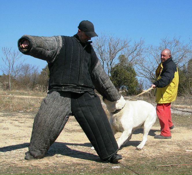 №37, Руслан Гордеев, Львов №37, Руслан Гордеев, Львов