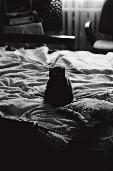 Евгения Антипова | Пермь