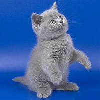 №7, Катя Руденко №7, Катя Руденко