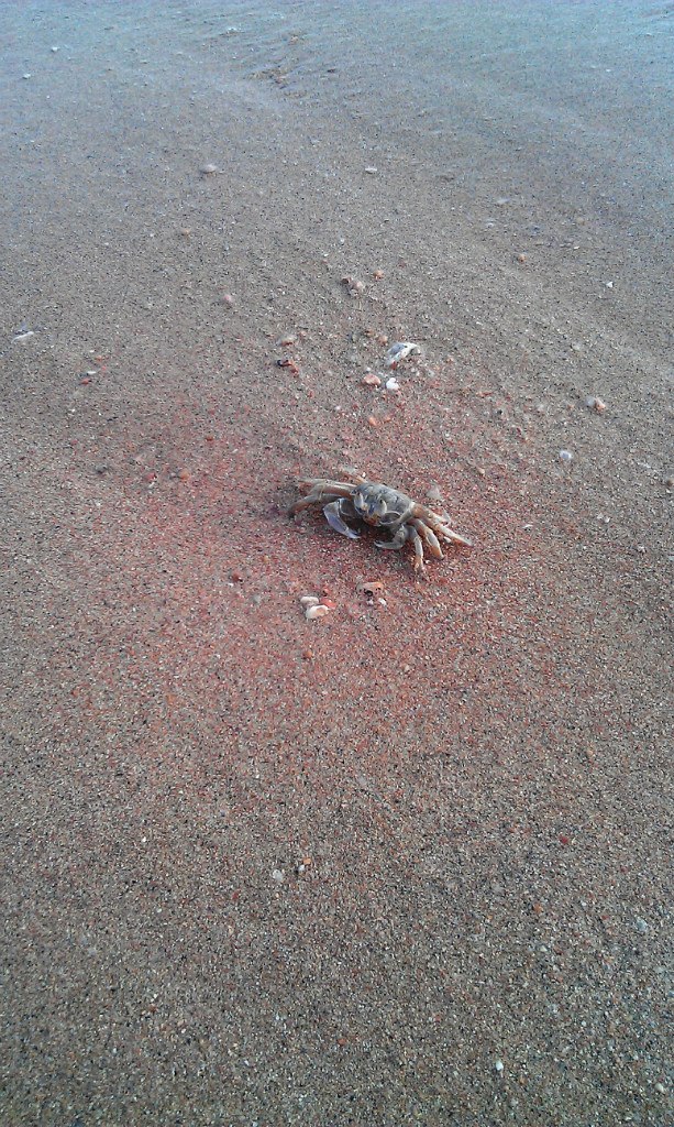 Павел Рудык | Санкт-Петербург