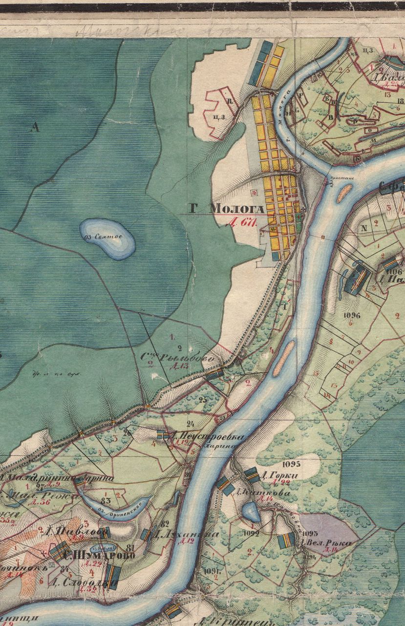 Александр Кучеров | Санкт-Петербург