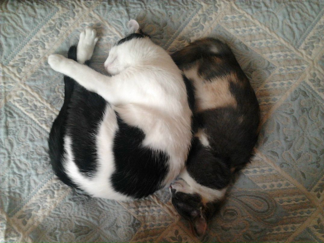 Евгения Прогонова | Москва