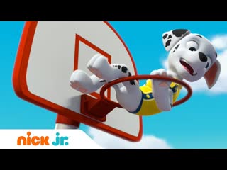 Щенячий патруль | Щенки спасают баскетбольный матч | Nick Jr. Россия