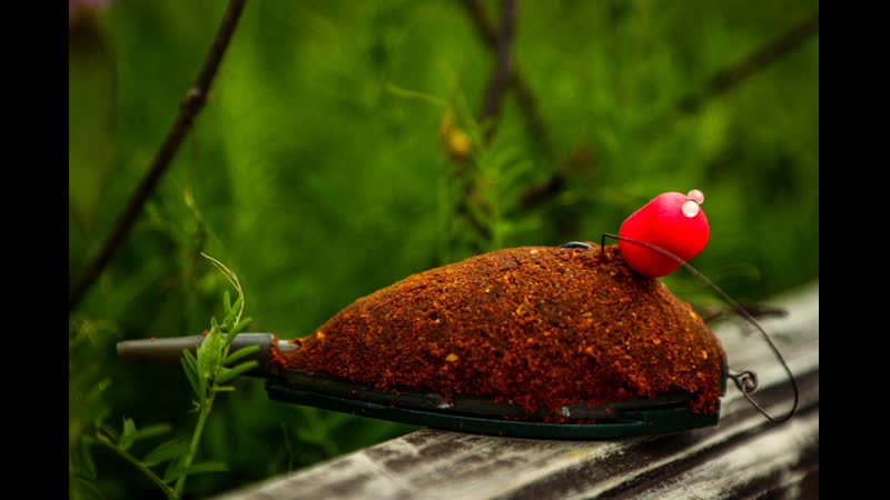 Флэт фидер vs Kарповая