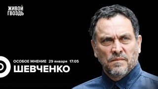 Новая российская элита. Выборы 2024. Максим Шевченко: Особое мнение /  @MaximShevchenko