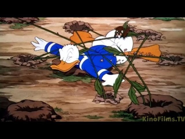 Complete Donald Duck Around 40 minutes each Part 6 of