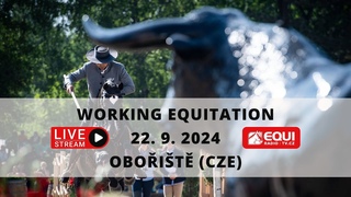 LIVE  | 4th day WAWE European Championship Working Equitation, Oboit (CZE)  22. 9. 2024