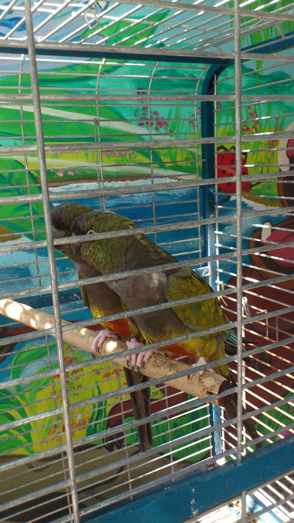 Надежда Беляева | Калининград