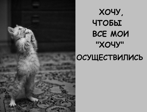 Наталья Морарь | Каменка