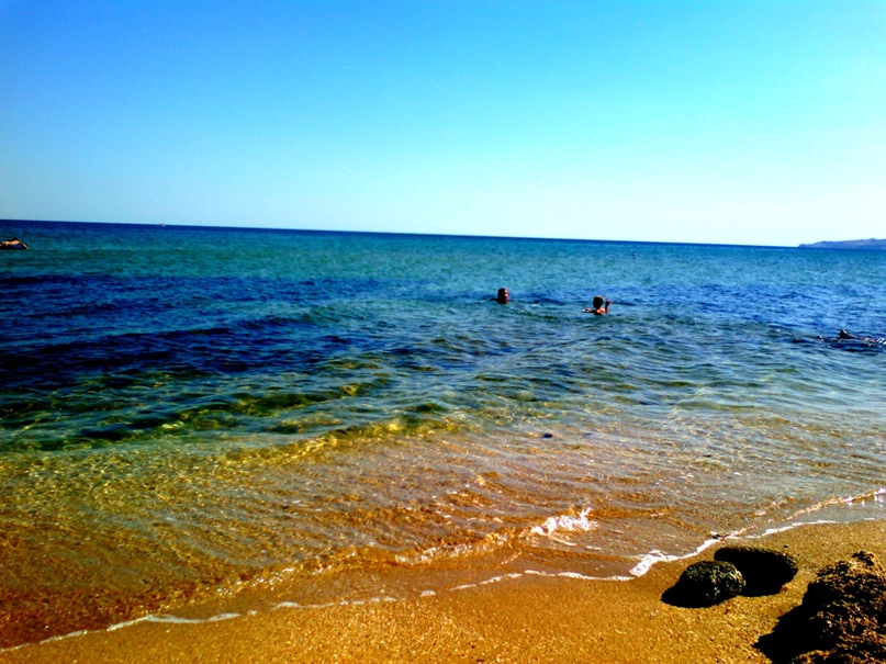 Нелли Каримова | Донецк