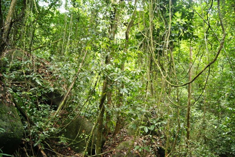 Ксения Парамонова | Москва