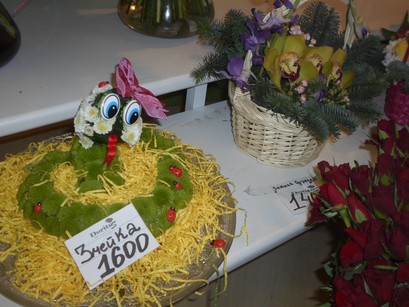 Елена Данилова | Санкт-Петербург