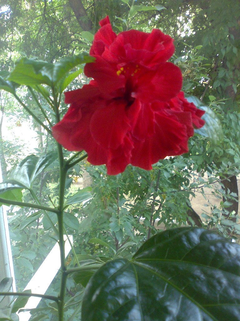 Екатерина Смольникова | Тольятти