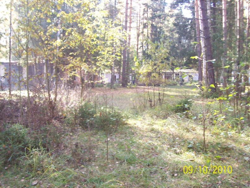 Алексей Селиванов | Кохма