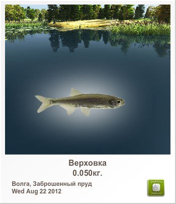 Сергей Усачев | Мурава