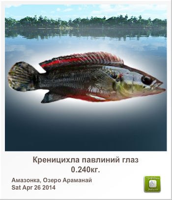 Сергей Новичков |