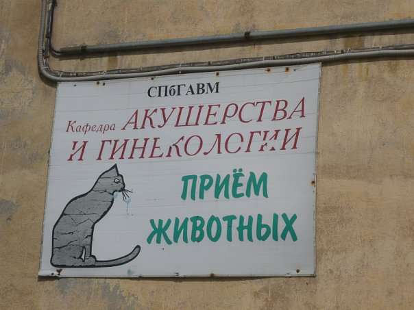 Мария Ромашева | Санкт-Петербург