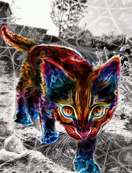 Игорь Карпов | Красные Четаи