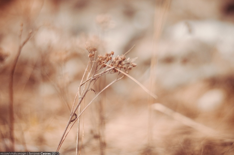 Виталий Смагин