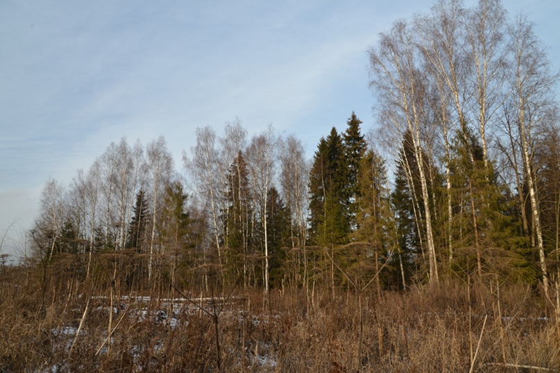 Анастасия Дорофеева | Москва