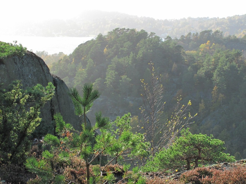 Денис Макаревич | Фаниполь