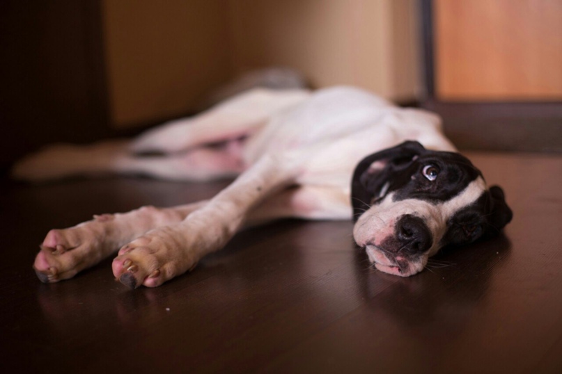 Юлия Капитонова | Санкт-Петербург