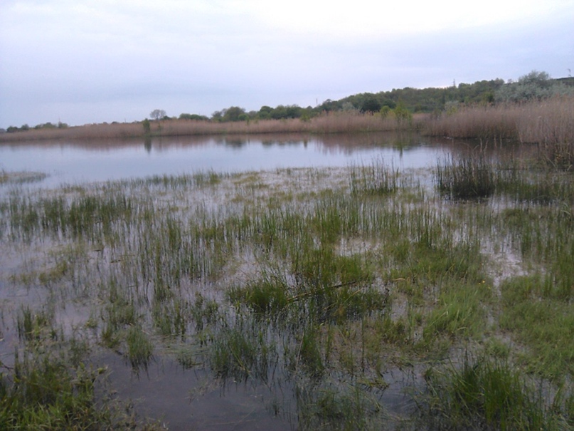 Максим Голуб | Днепр (Днепропетровск)