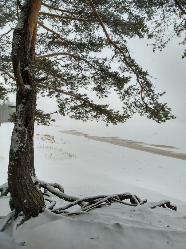 Мария Трофимова | Санкт-Петербург