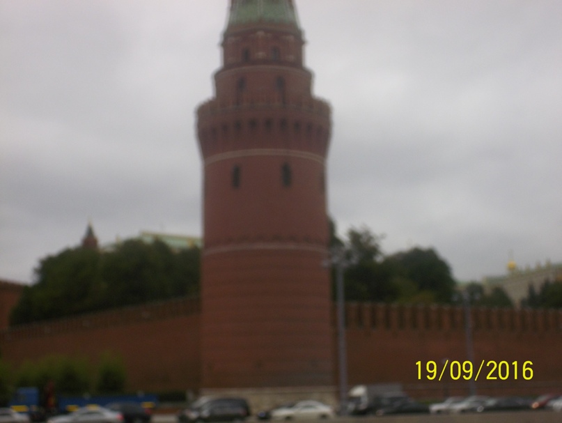 Алёна Гурова | Барнаул