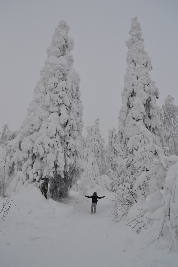 Алексей Елизаров | Пермь