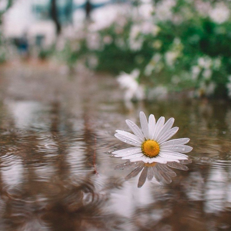 Жанна Кузьменко | Пермь