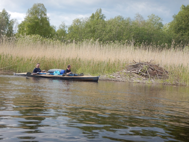 Артем Гриднев | Санкт-Петербург