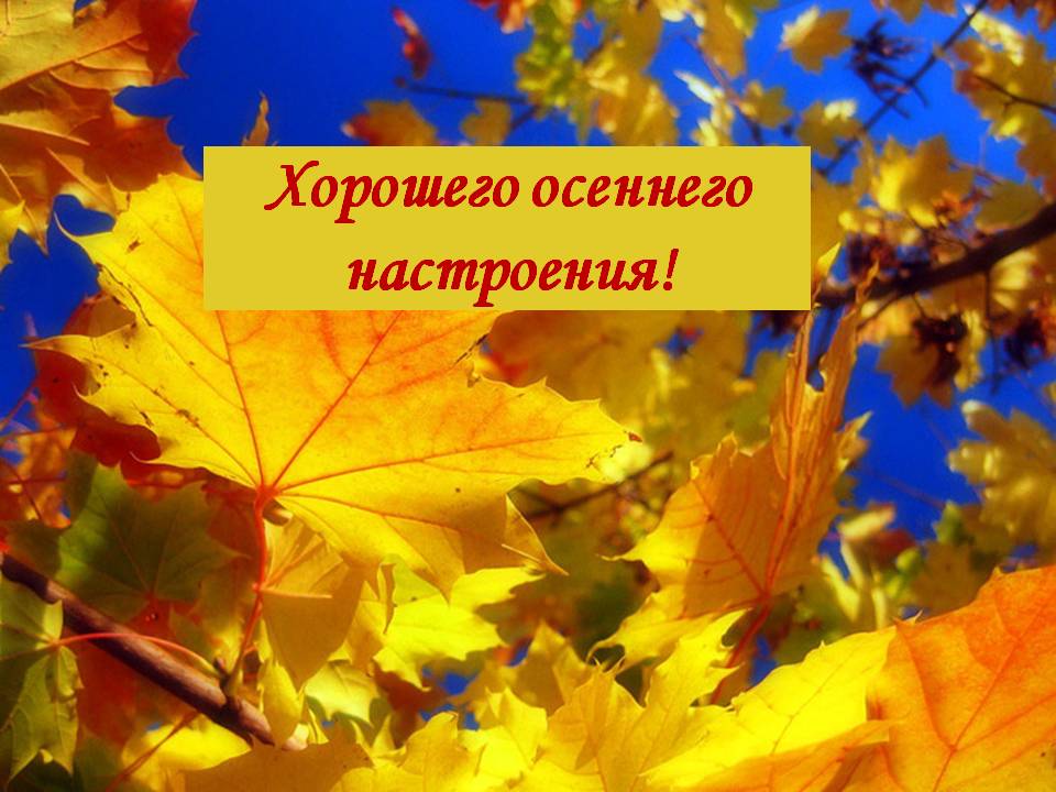 Осеннего настроения и хорошего дня картинки красивые. Хорошего осеннего настроения. Хорошего осеннего наст. Хорошего настроения осенью. Хорошего осеннего дня и отличного настроения. Осеннего настроения и хорошего дня картинки красивые. Хорошего осеннего настроения. Хорошего осеннего наст. Хорошего настроения осенью. Хорошего осеннего дня и отличного настроения.