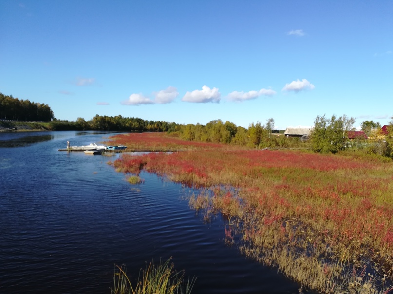 Анна Агаева | Архангельск