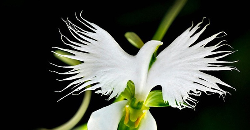 Полина Андреева | Белгород