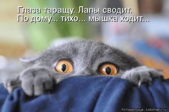 Катя Сивицкая |
