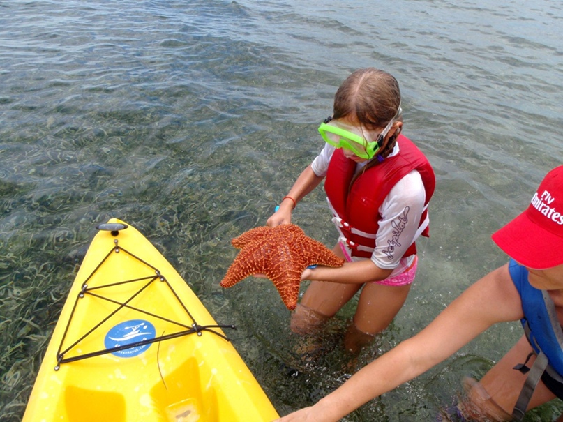 Александр Румянцев | Atlanta