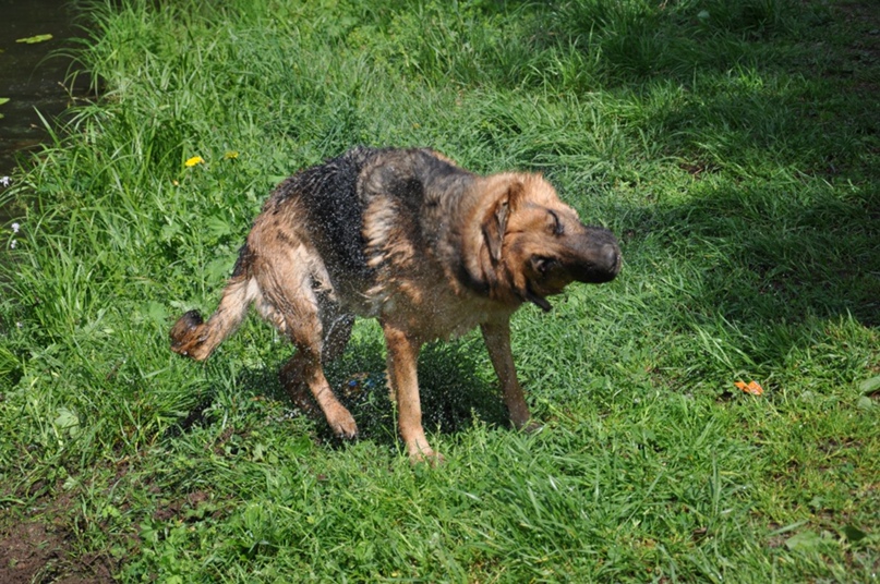Елена Мысова | Санкт-Петербург