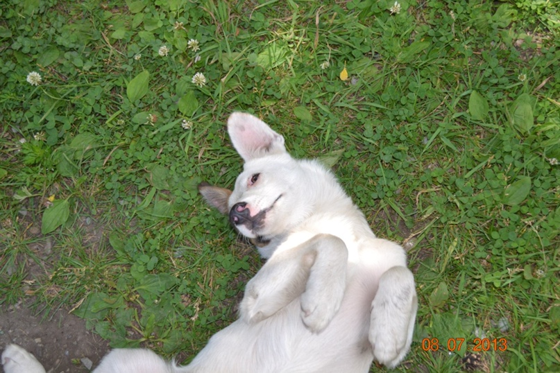 Наталья Боровкова | Екатеринбург