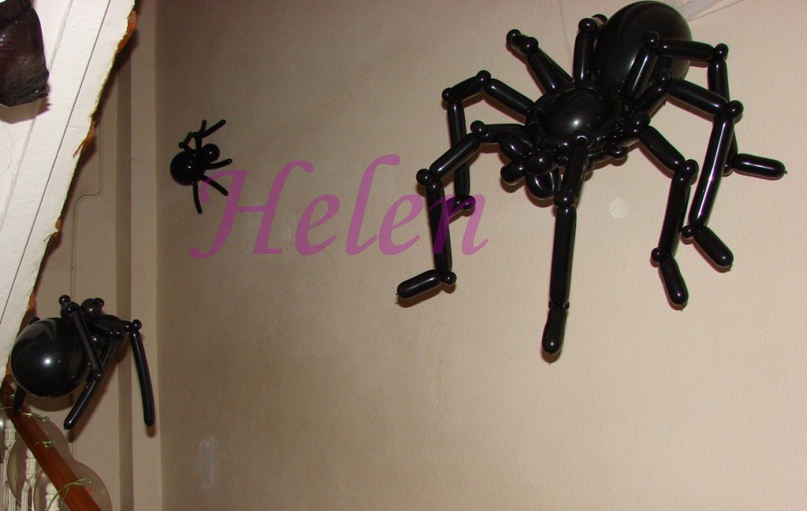 Елена Андрейчук | Черноморск / Ильичевск