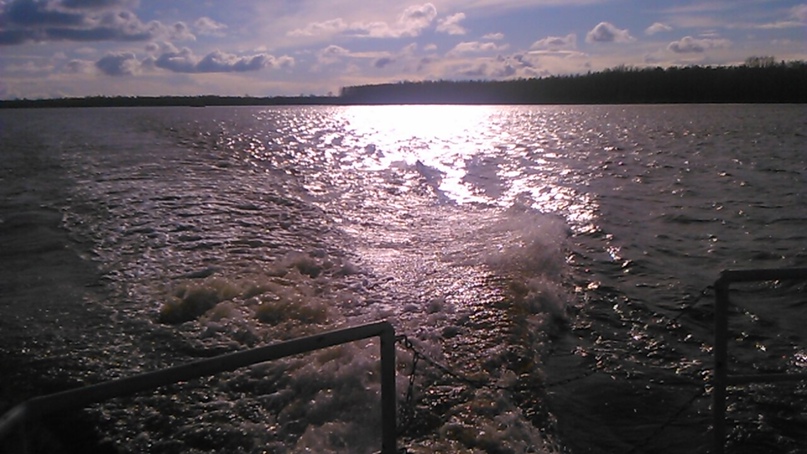 Алексей Севрюгин |